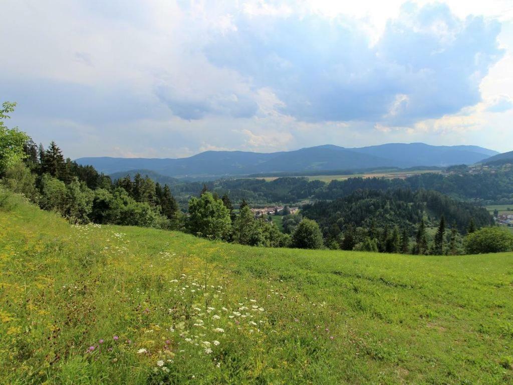 Appartamento Fewo Ploesch Vlg. Maierhofer Lavamünd Esterno foto
